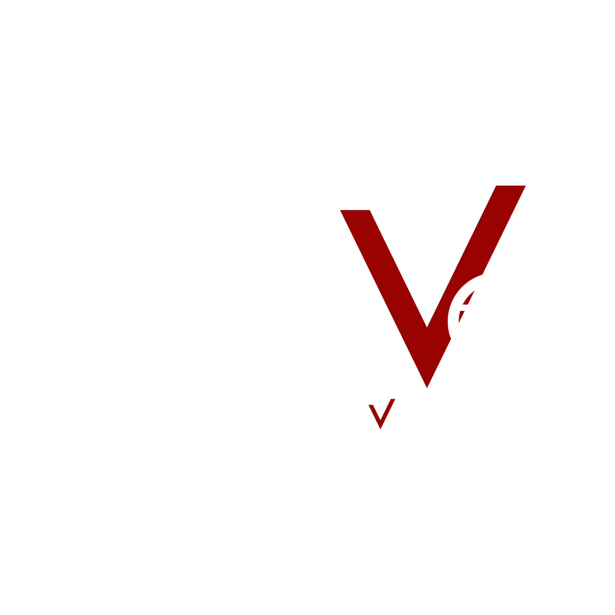 Páginas Web Vitoria